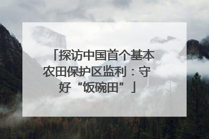 探访中国首个基本农田保护区监利：守好“饭碗田”