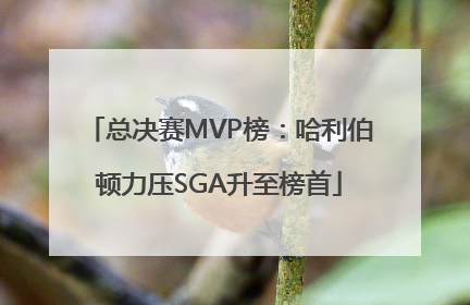 总决赛MVP榜：哈利伯顿力压SGA升至榜首