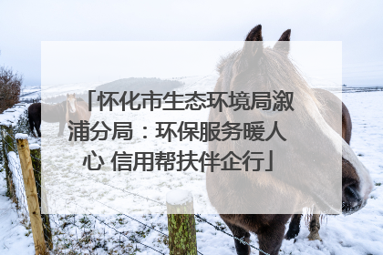 怀化市生态环境局溆浦分局：环保服务暖人心 信用帮扶伴企行
