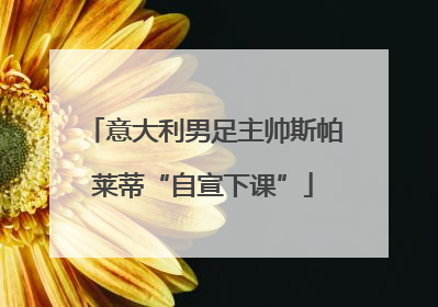 意大利男足主帅斯帕莱蒂“自宣下课”