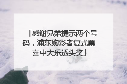 感谢兄弟提示两个号码，浦东购彩者复式票喜中大乐透头奖