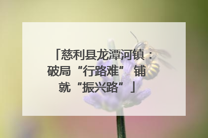 慈利县龙潭河镇：破局“行路难” 铺就“振兴路”