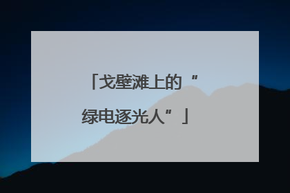 戈壁滩上的“绿电逐光人”