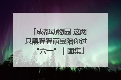 成都动物园 这两只黑猩猩萌宝陪你过“六一”｜图集