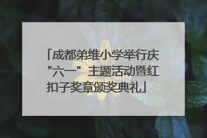 成都弟维小学举行庆“六一”主题活动暨红扣子奖章颁奖典礼