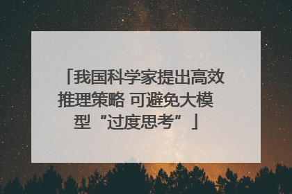 我国科学家提出高效推理策略 可避免大模型“过度思考”
