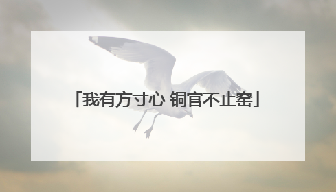 我有方寸心 铜官不止窑