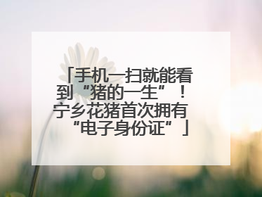 手机一扫就能看到“猪的一生”！宁乡花猪首次拥有“电子身份证”