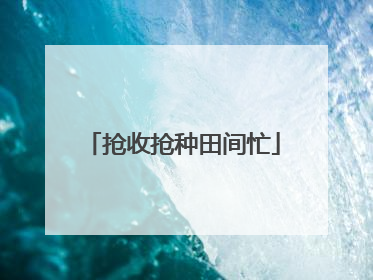 抢收抢种田间忙