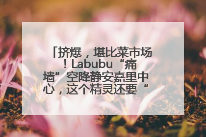 挤爆，堪比菜市场！Labubu“痛墙”空降静安嘉里中心，这个精灵还要“突袭”便利店？