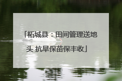 柘城县：田间管理送地头 抗旱保苗保丰收
