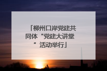 柳州口岸党建共同体“党建大讲堂”活动举行