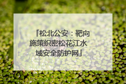 松北公安：靶向施策织密松花江水域安全防护网