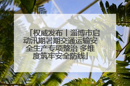 权威发布丨淄博市启动汛期暑期交通运输安全生产专项整治 多维度筑牢安全防线