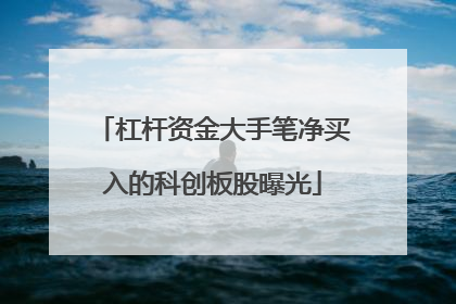 杠杆资金大手笔净买入的科创板股曝光