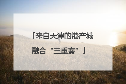 来自天津的港产城融合“三重奏”