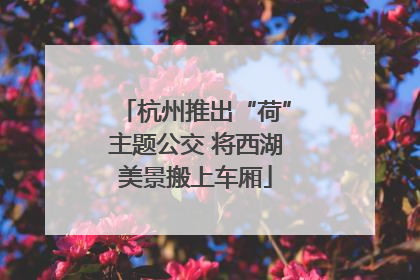 杭州推出“荷”主题公交 将西湖美景搬上车厢