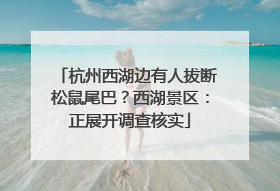 杭州西湖边有人拔断松鼠尾巴？西湖景区：正展开调查核实