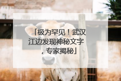 极为罕见！武汉江边发现神秘文字，专家揭秘