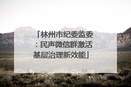 林州市纪委监委：民声微信群激活基层治理新效能