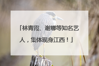 林青霞、谢娜等知名艺人，集体现身江西！