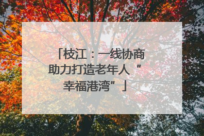枝江：一线协商助力打造老年人“幸福港湾”