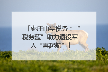 枣庄山亭税务：“税务蓝”助力退役军人“再起航”