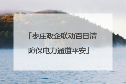 枣庄政企联动百日清障保电力通道平安
