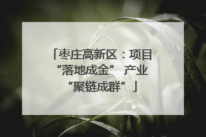 枣庄高新区：项目“落地成金” 产业“聚链成群”
