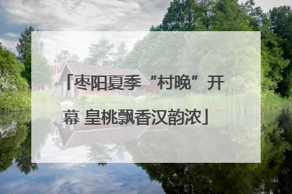 枣阳夏季“村晚”开幕 皇桃飘香汉韵浓