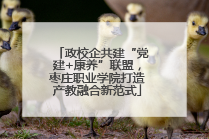 政校企共建“党建+康养”联盟，枣庄职业学院打造产教融合新范式