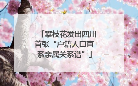 攀枝花发出四川首张“户籍人口直系亲属关系谱”
