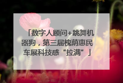 数字人顾问+跳舞机器狗，第三届槐荫惠民车展科技感“拉满”