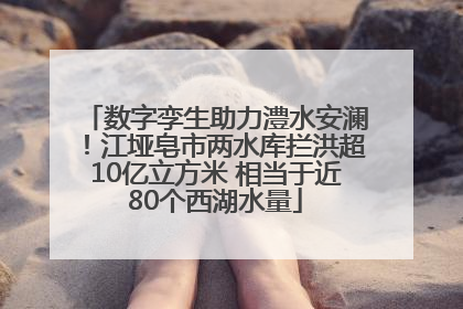 数字孪生助力澧水安澜！江垭皂市两水库拦洪超10亿立方米 相当于近80个西湖水量