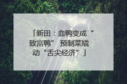 新田：血鸭变成“致富鸭” 预制菜撬动“舌尖经济”