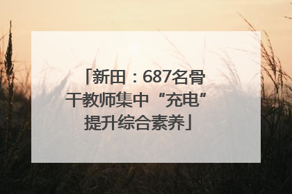 新田：687名骨干教师集中“充电” 提升综合素养