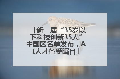 新一届“35岁以下科技创新35人”中国区名单发布，AI人才备受瞩目