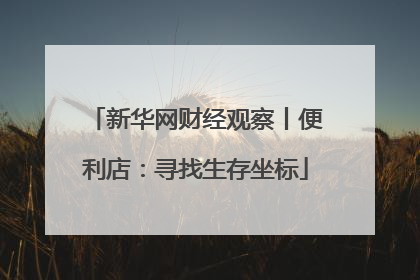 新华网财经观察丨便利店：寻找生存坐标