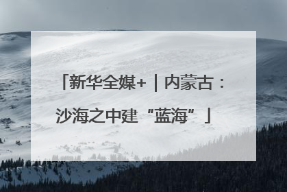 新华全媒+｜内蒙古：沙海之中建“蓝海”