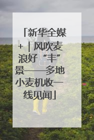 新华全媒+｜风吹麦浪好“丰”景——多地小麦机收一线见闻