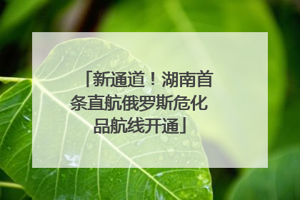 新通道！湖南首条直航俄罗斯危化品航线开通