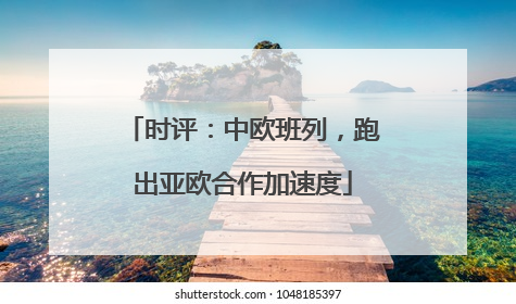 时评：中欧班列，跑出亚欧合作加速度