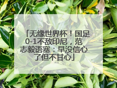 无缘世界杯！国足0-1不敌印尼，范志毅语塞：早没信心了但不甘心