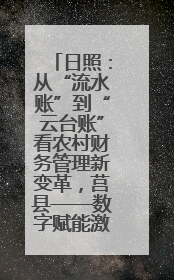日照：从“流水账”到“云台账”看农村财务管理新变革，莒县——数字赋能激活乡村振兴“一池春水”