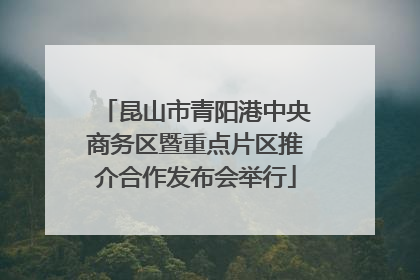昆山市青阳港中央商务区暨重点片区推介合作发布会举行