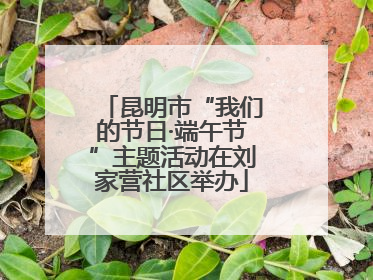 昆明市“我们的节日·端午节”主题活动在刘家营社区举办