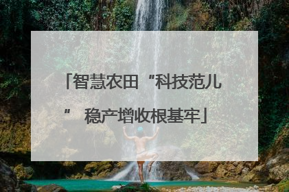 智慧农田“科技范儿” 稳产增收根基牢