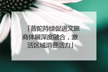 普陀持续促进文旅商体展深度融合，激活区域消费活力