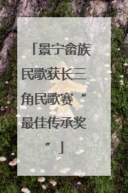 景宁畲族民歌获长三角民歌赛“最佳传承奖”