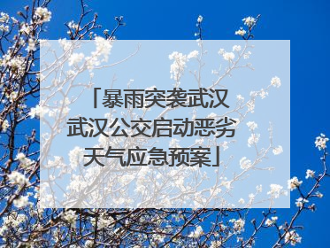 暴雨突袭武汉 武汉公交启动恶劣天气应急预案